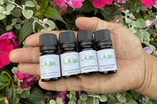 Load image into Gallery viewer, Free Shipping Essential Oil Scent Pack x 3
