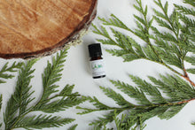 Load image into Gallery viewer, ULAT Essential Oils, 4 great scents to choose from.
